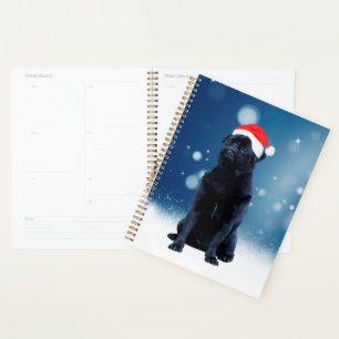 Chien Pug Noir Mignon Chapeau de Noël de Santa Nei
