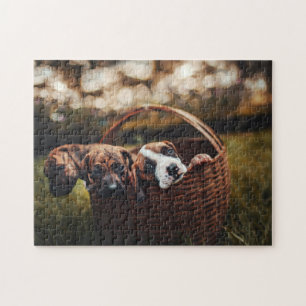 Chien Puzzles Animal Pic mignon Sad Chiot Photo