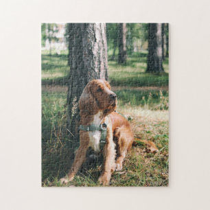 Chien Puzzles Animal Pic mignon Sad Chiot Photo