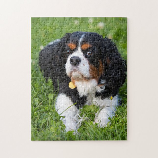 Chien Puzzles Animal Pic mignon Sad Chiot Photo (Vertical)