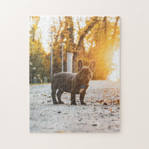 Chien Puzzles Animal Pic mignon Sad Chiot Photo