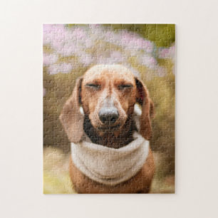 Chien Puzzles Animal Pic mignon Sad Chiot Photo