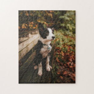 Chien Puzzles Animal Pic mignon Sad Chiot Photo