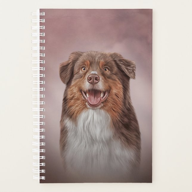 Chien race Australian Shepherd (Devant)