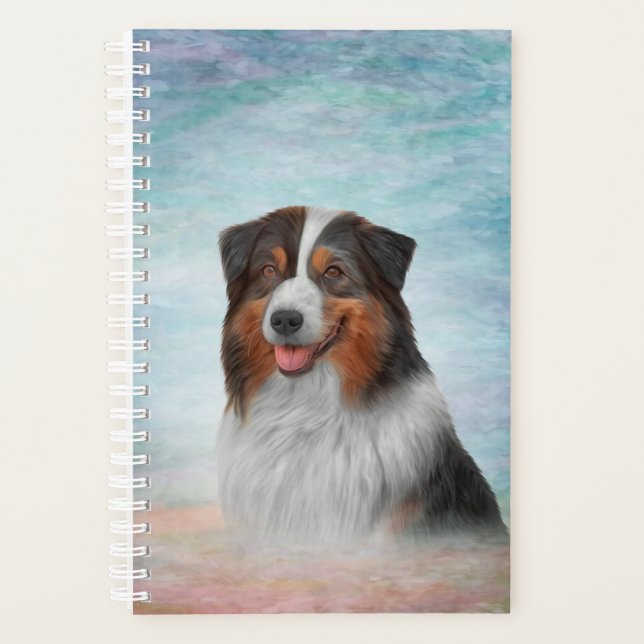 Chien race Australian Shepherd (Devant)
