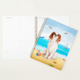 Chien roi cavalier sur la plage