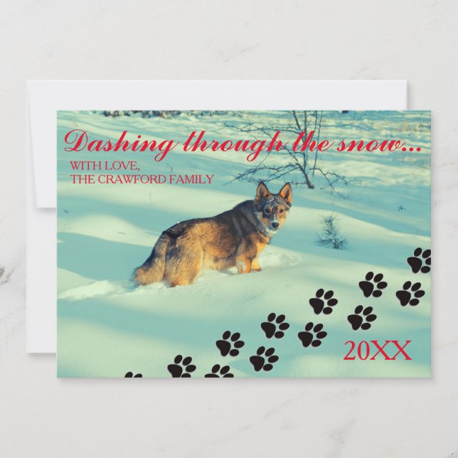 Chien se précipitant dans la neige - Carte de Noël (Devant)
