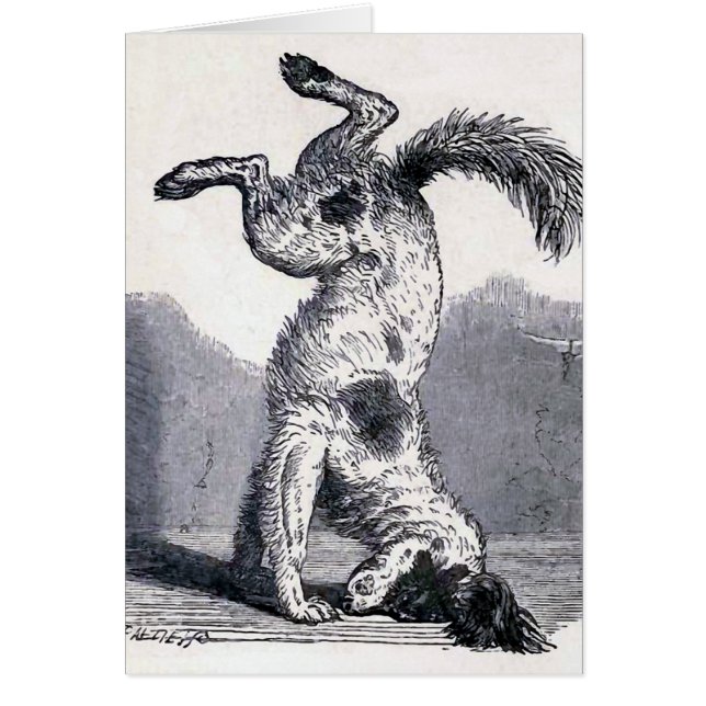 "Chien se tenant sur son principal " (Devant)