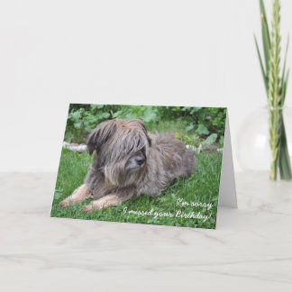 Chien Shaggy carte d'anniversaire tardive