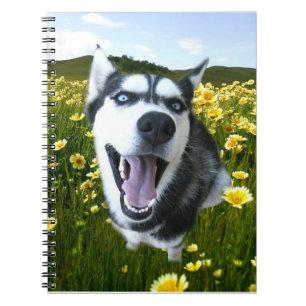 Chien sibérien Husky en Carnet Fleur sauvage