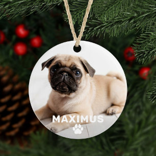 Chien simple Empreinte de patte Personnalisé Nom P