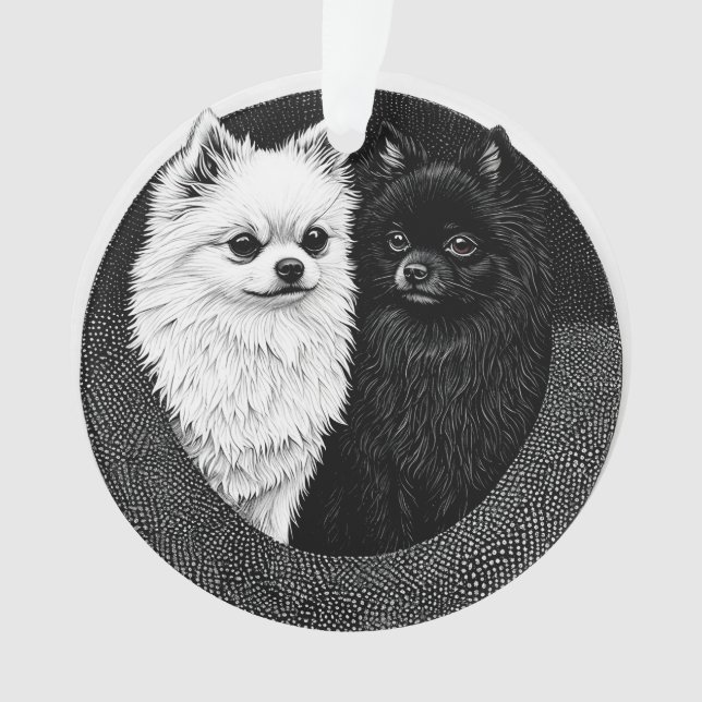 chien spitz japonais (devant)