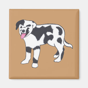 Chien tacheté noir et blanc Magnets