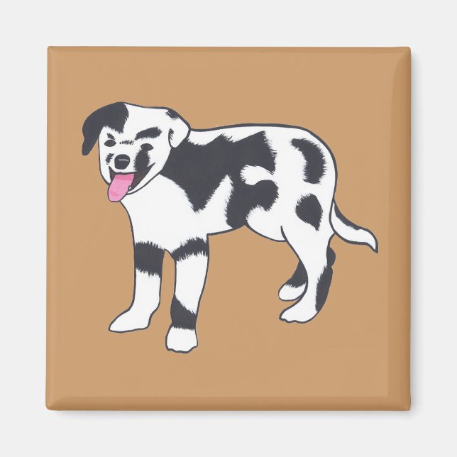 Chien tacheté noir et blanc Magnets (Devant)