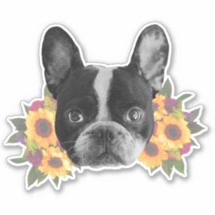 Chien-taureaux français en Sticker Fleurs