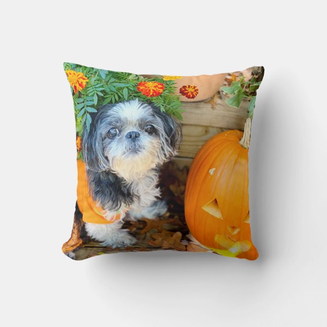 Chien Tzu Chien gros Coussin d'ascension (Recto)