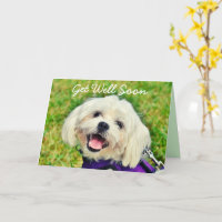 Chien vert frais et encouragement obtenir carte de
