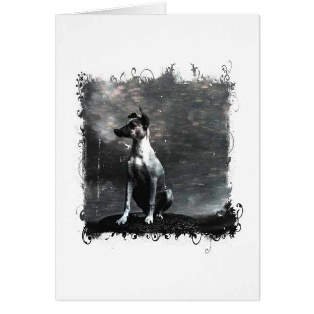 Chien vintage toutes les occasions (Devant)