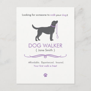 Chien Walker Marcher Affaires Carte postale Public