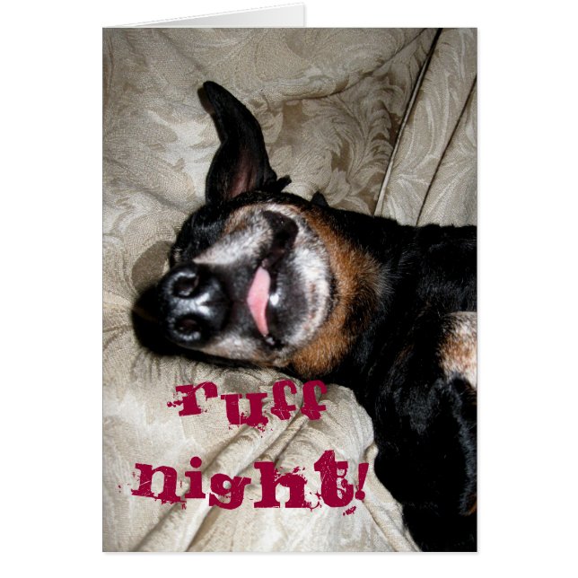 Chien Weiner (Devant)