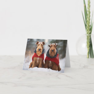 Chiens Airedale dans la carte de pulls de Noël