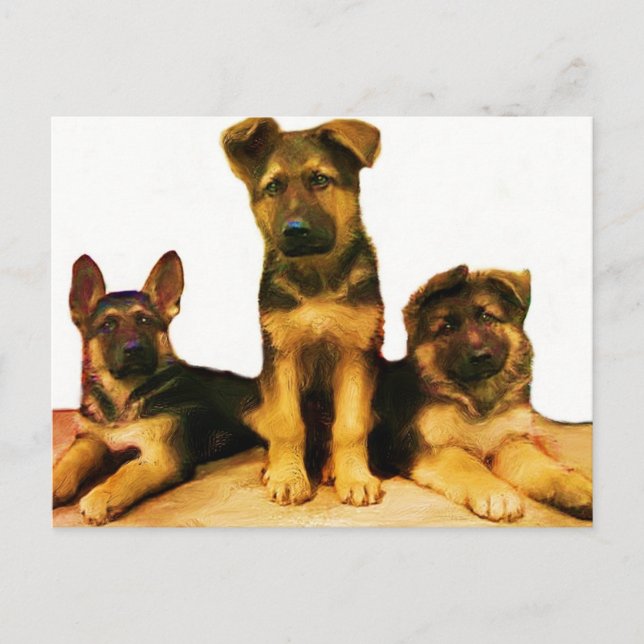 Chiens allemands carte postale (Devant)