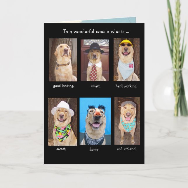 Chiens amusants masculins Carte d'anniversaire (Devant)