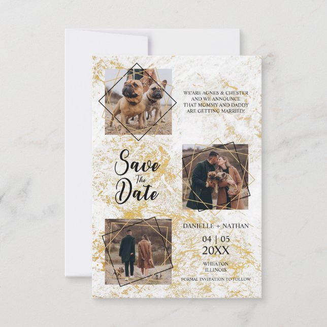 Chiens Animaux Trois Photos Aime  Effet Or Faux (Devant)