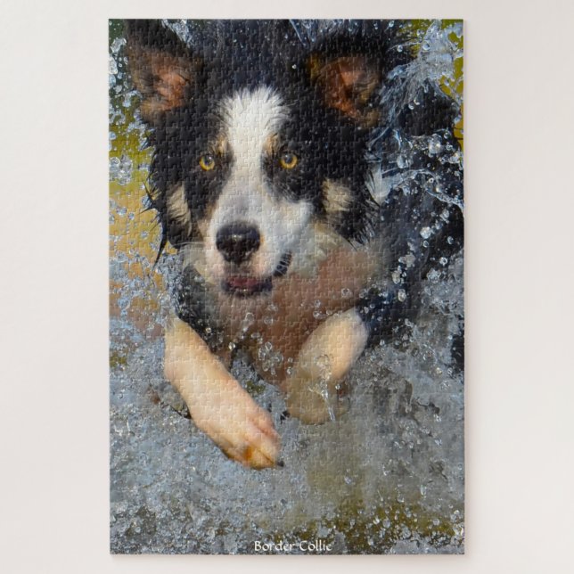 Chiens Border Collie. Puzzle (Vertical)