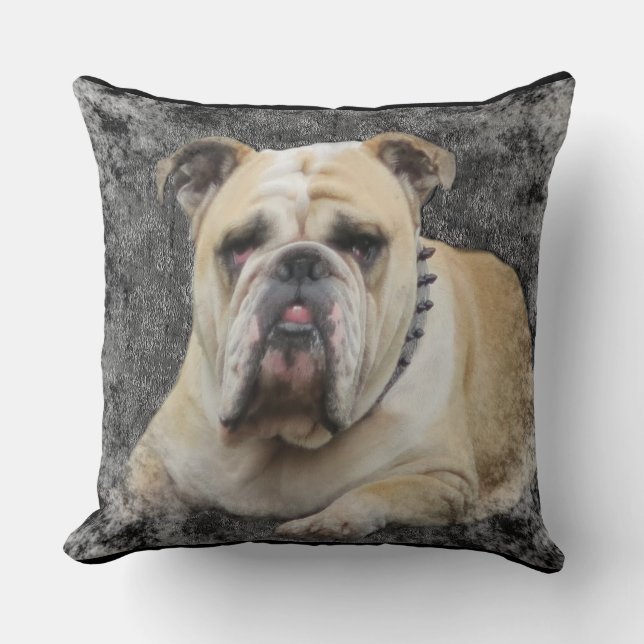 Chiens, bulldogge anglais, sombre, coussin (Recto)