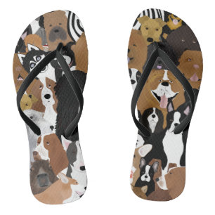 Chiens, chats et tongs de poulet