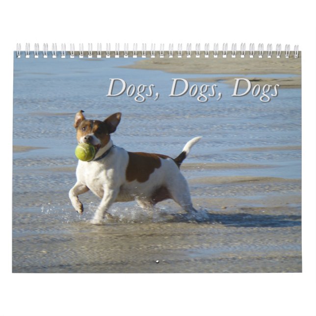 Chiens, Chiens, Calendrier des Chiens (Protection)