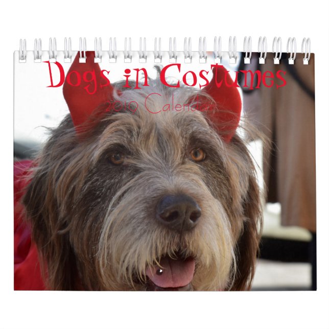 Chiens dans le calendrier des costumes 2019 (Protection)