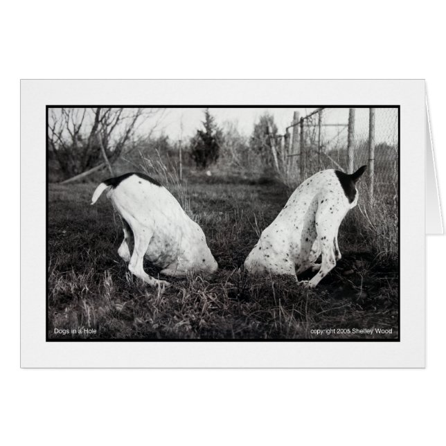 Chiens dans un trou (Devant horizontal)