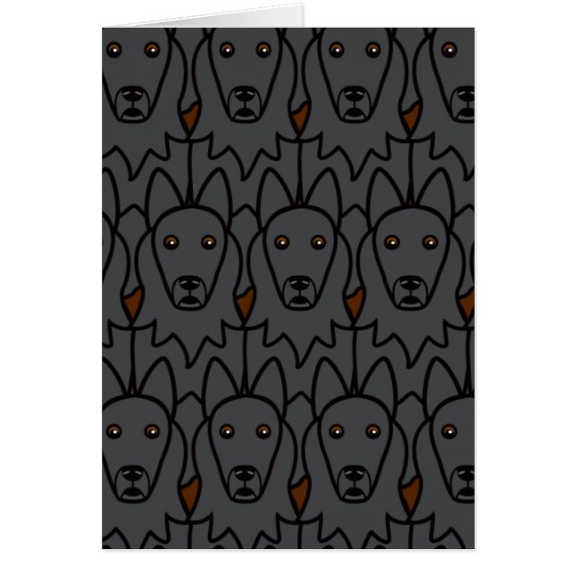 Chiens de berger belges (Devant)