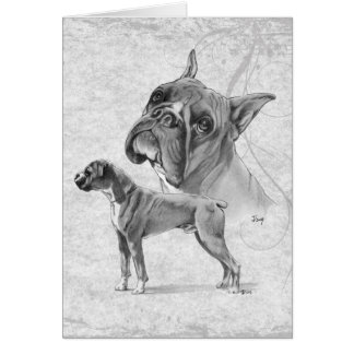 Chiens de boxeur