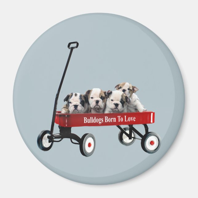 Chiens De Chienne En Gros Dans Le Magnet Wagon (Devant)