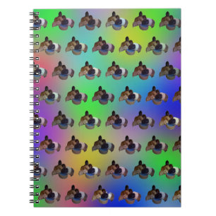 Chiens de Guinée arc-en-ciel, Carnet