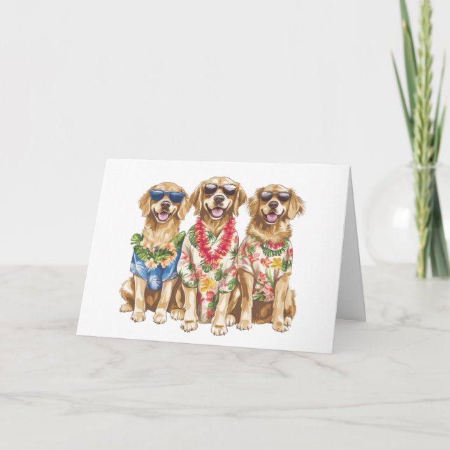 Chiens de Merci Hawaiian Golden Retriever (Devant)