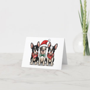 Chiens de Merci Noël Boston Terrier