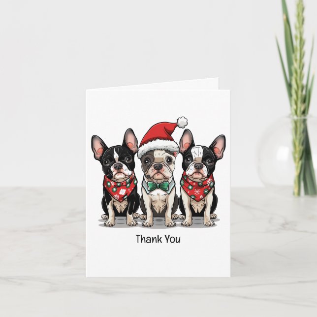 Chiens de Merci Noël Boston Terrier (Devant)