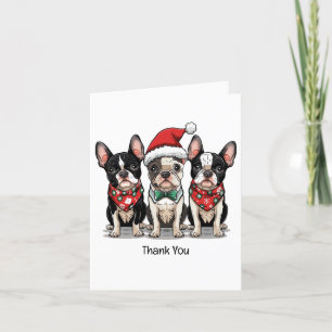 Chiens de Merci Noël Boston Terrier