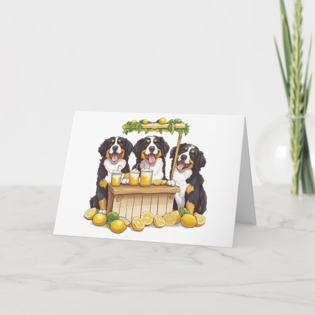 Chiens de montagne bernois Merci Stand de limonade (Devant)
