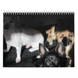 Chiens de petite Secourt Calendrier de 12 mois