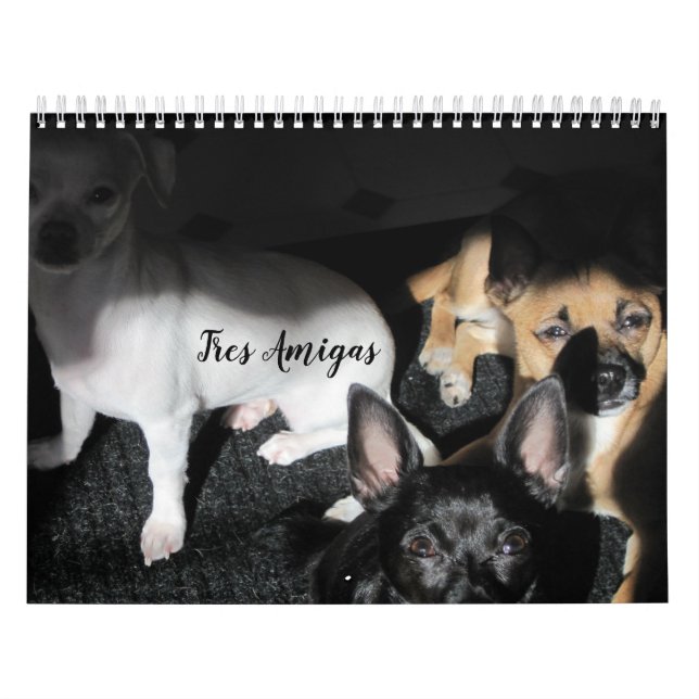 Chiens de petite Secourt Calendrier de 12 mois (Protection)