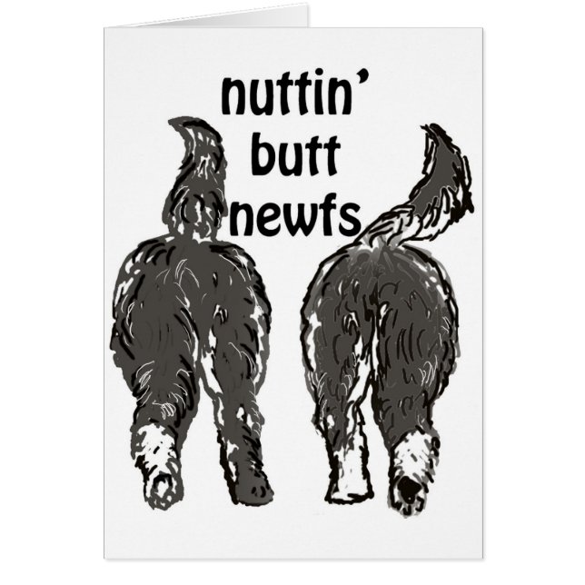 Chiens de Terre-Neuve (Devant)