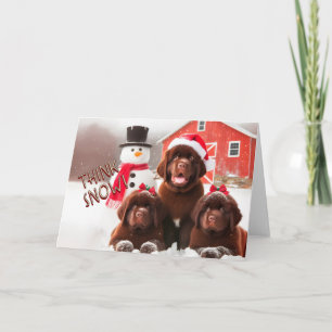 Chiens de Terre-Neuve Brown, Carte de Noël de neig