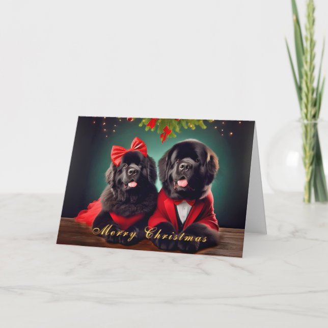 Chiens de Terre-Neuve dans une carte postale de No (Devant)