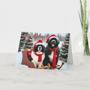 Chiens de Terre-Neuve sur la carte de Noël Sleigh