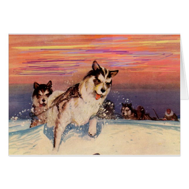 Chiens de traîneau husky sibériens des années 1940 (Devant horizontal)